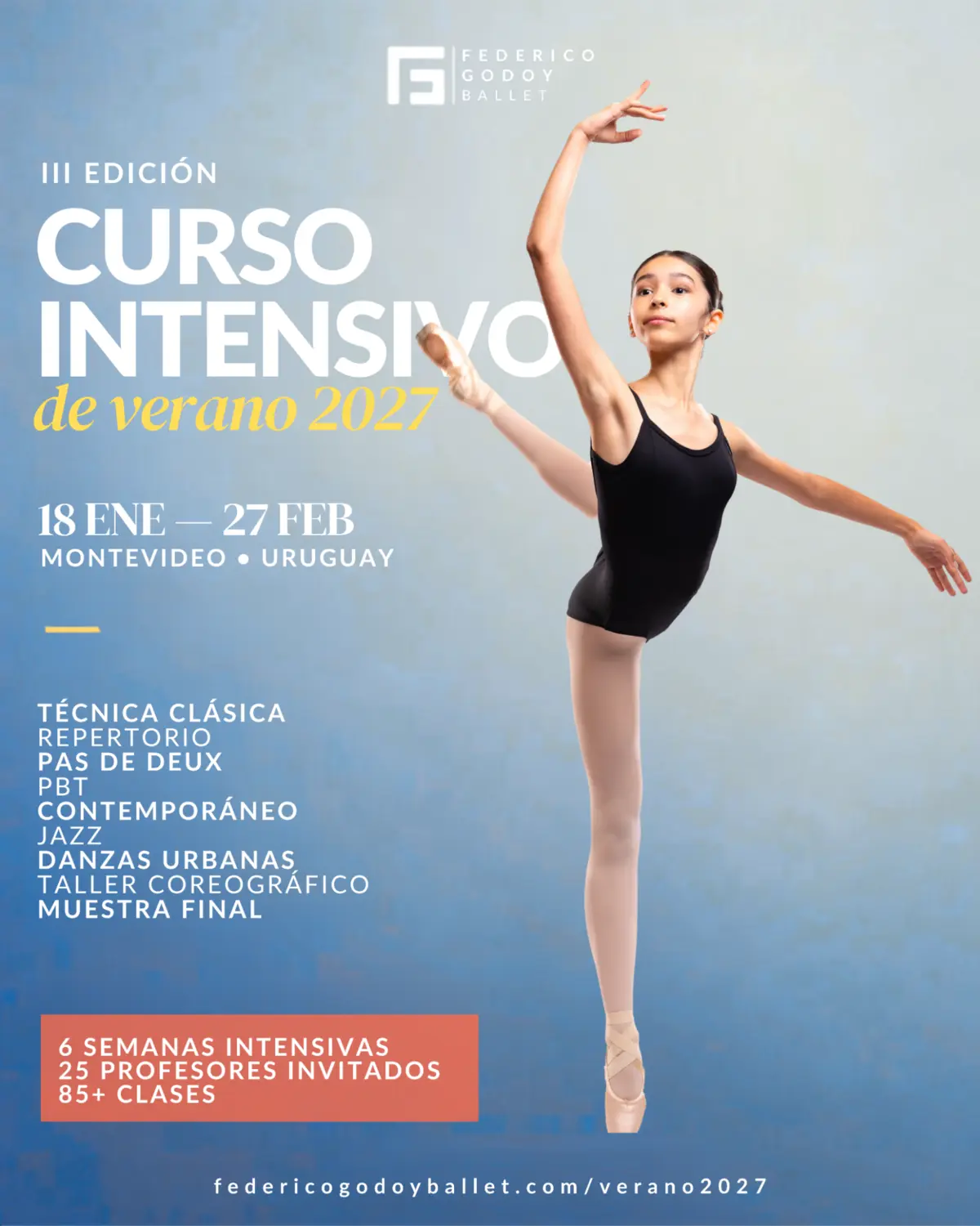 Afiche del III Curso Intensivo de Verano 2027